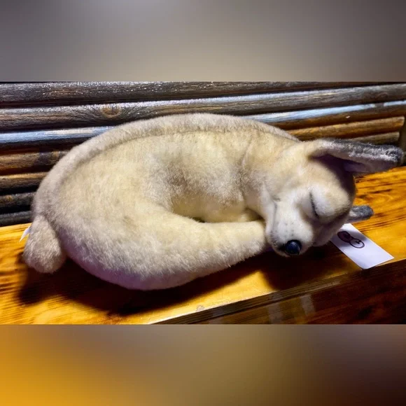 CUDDLE CLONES CHIHUAHUA - Picture 3 of 9